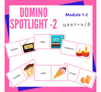 domino-spotlight-2-module-1-2