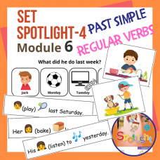 Комплект Spotlight-4 Module 6